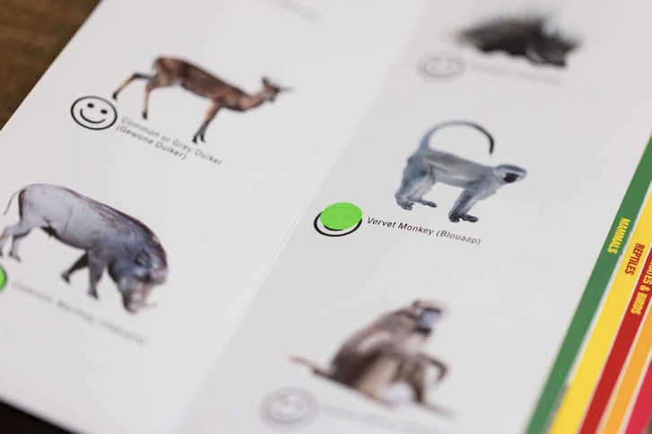 Kruger Park sticker book